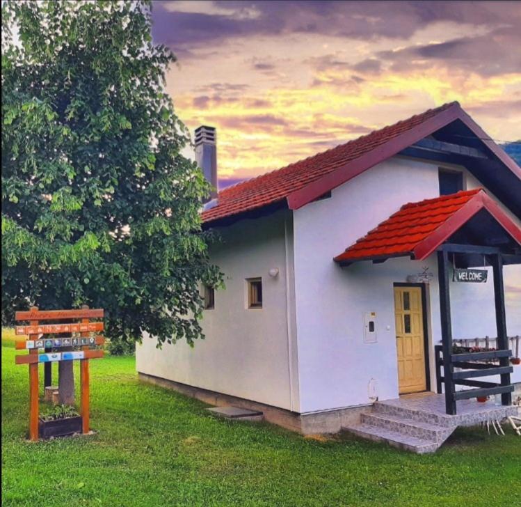Kosta'S Romantic House Plav Buitenkant foto