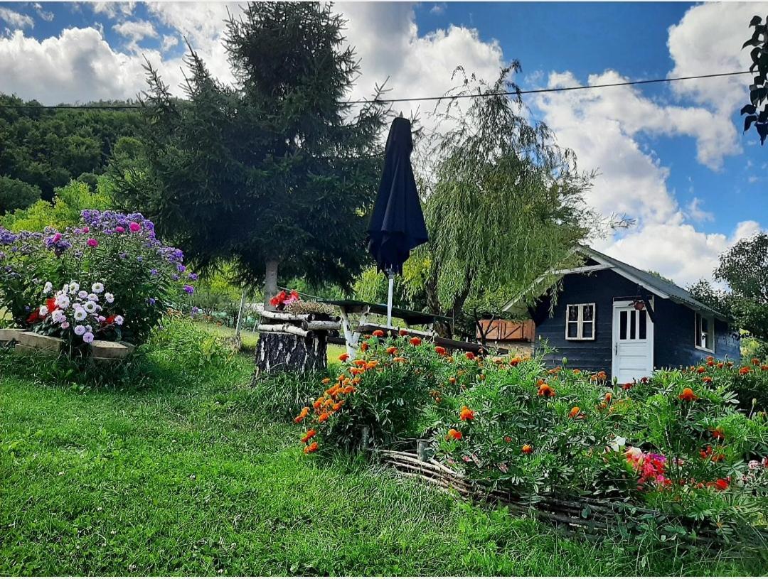 Kosta'S Romantic House Plav Buitenkant foto