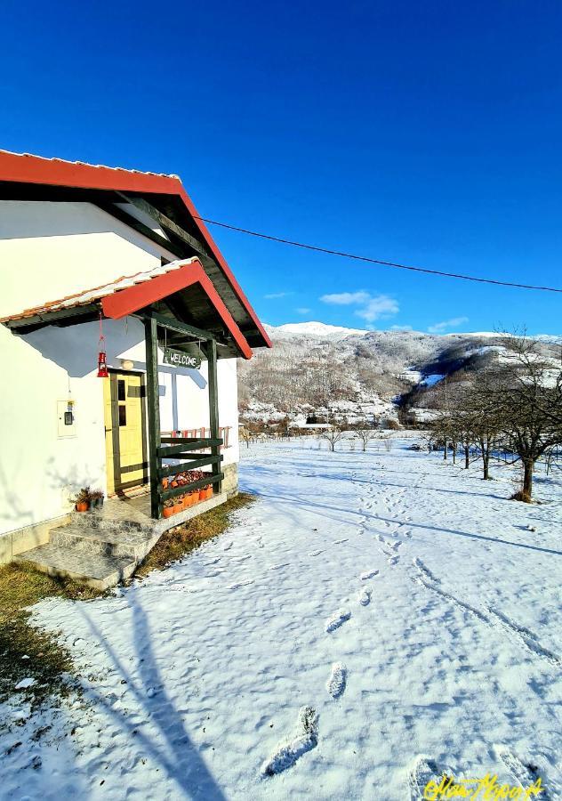 Kosta'S Romantic House Plav Buitenkant foto